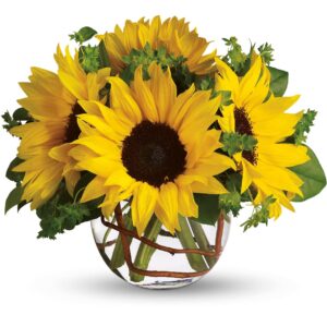 Sunny Sunflower