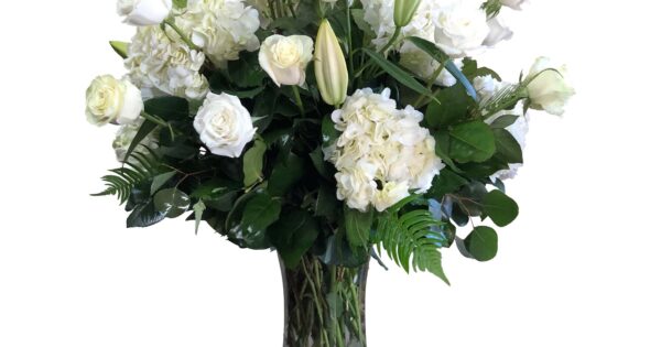 Sweet Angel Roses Sweet Angel | La Tulipe flowers