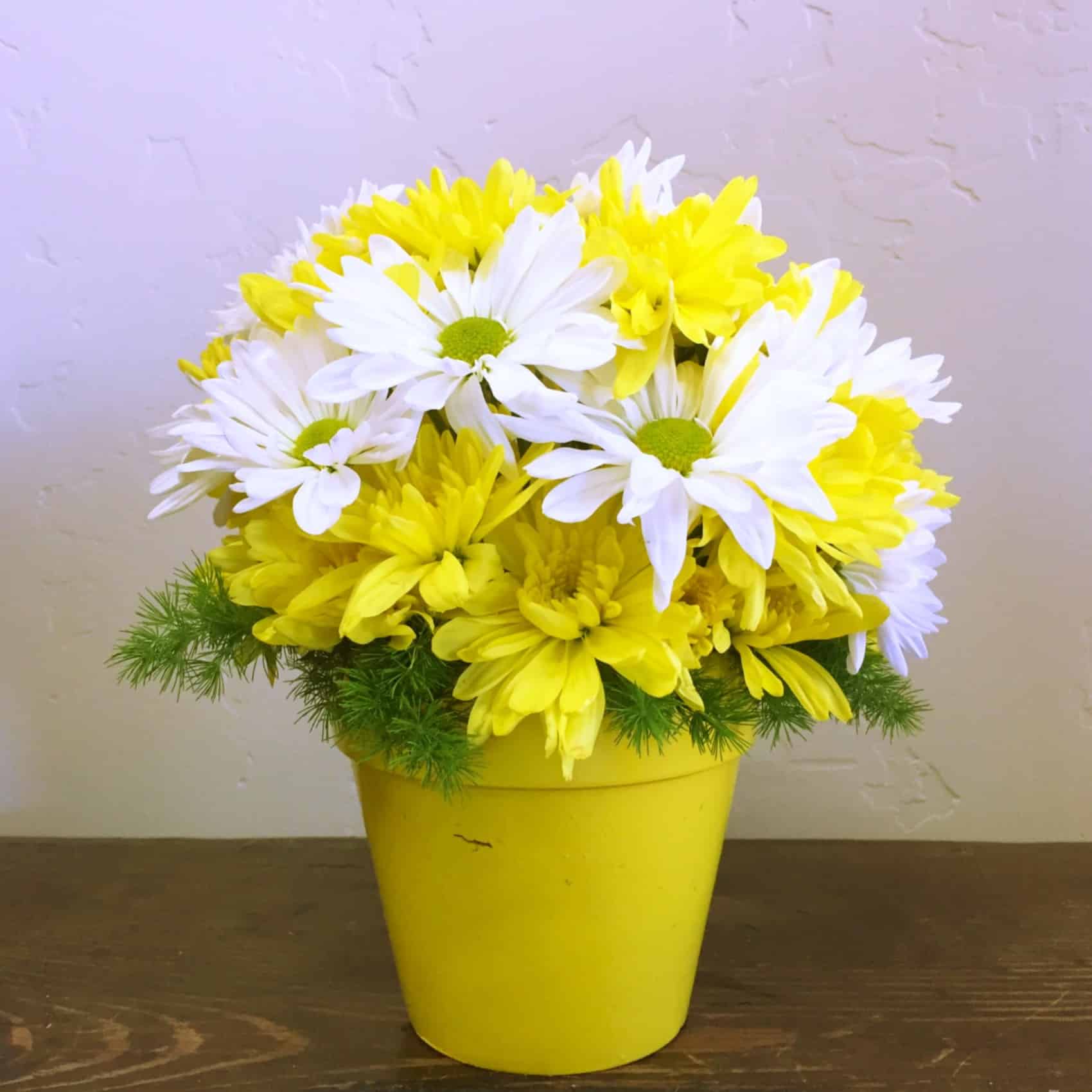 Stephens City, VA Flower Delivery | Stephens City, Virginia Florist