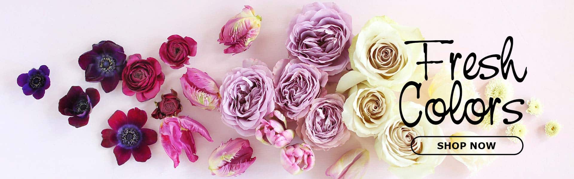 La Tulipe flowers Nationwide Flower Delivery Send Flowers Online Now