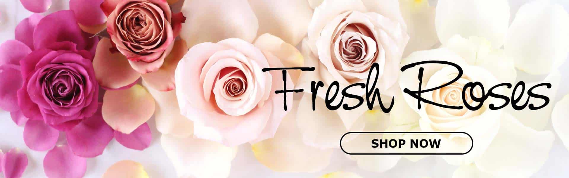 La Tulipe flowers Nationwide Flower Delivery Send Flowers Online Now