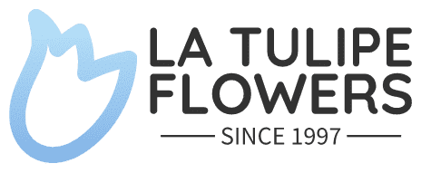 La Tulipe flowers